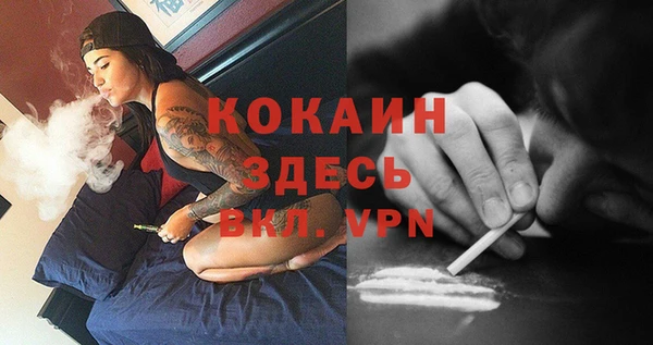 mix Белокуриха