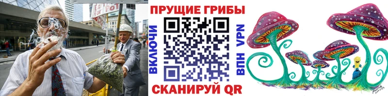 Псилоцибиновые грибы Magic Shrooms  купить наркотик  darknet Telegram  Баксан 